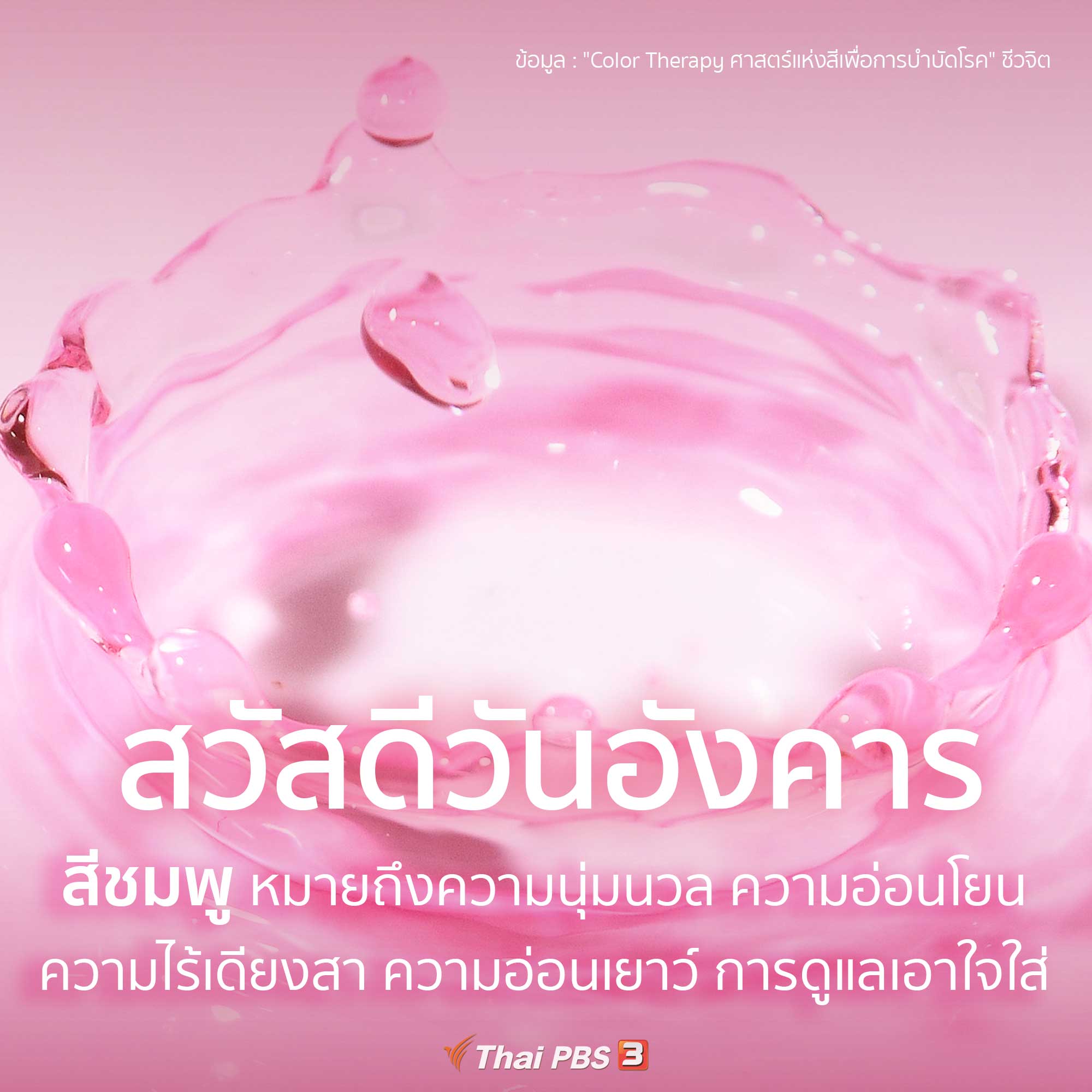 ความหมายของสีชมพู - Thai Pbs สวัสดีทุกสีวัน