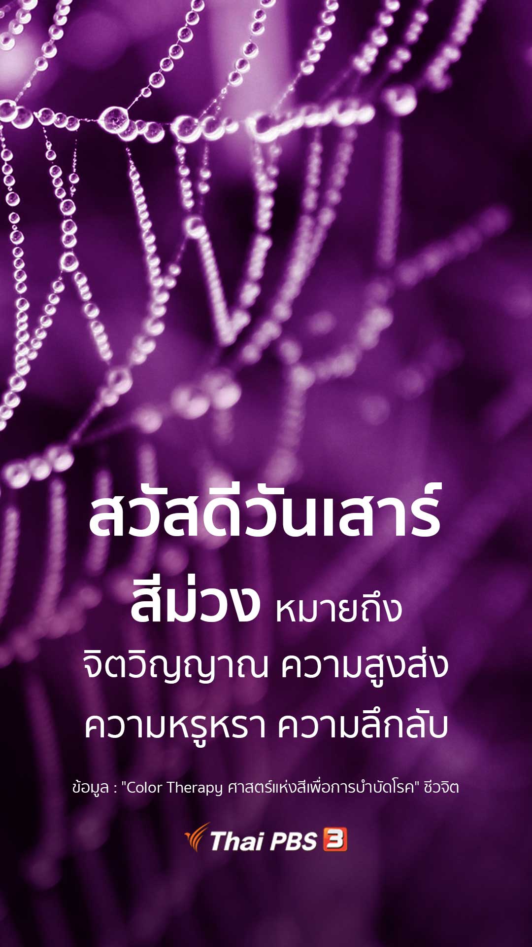 ความหมายของสีม่วง - Thai PBS สวัสดีทุกสีวัน