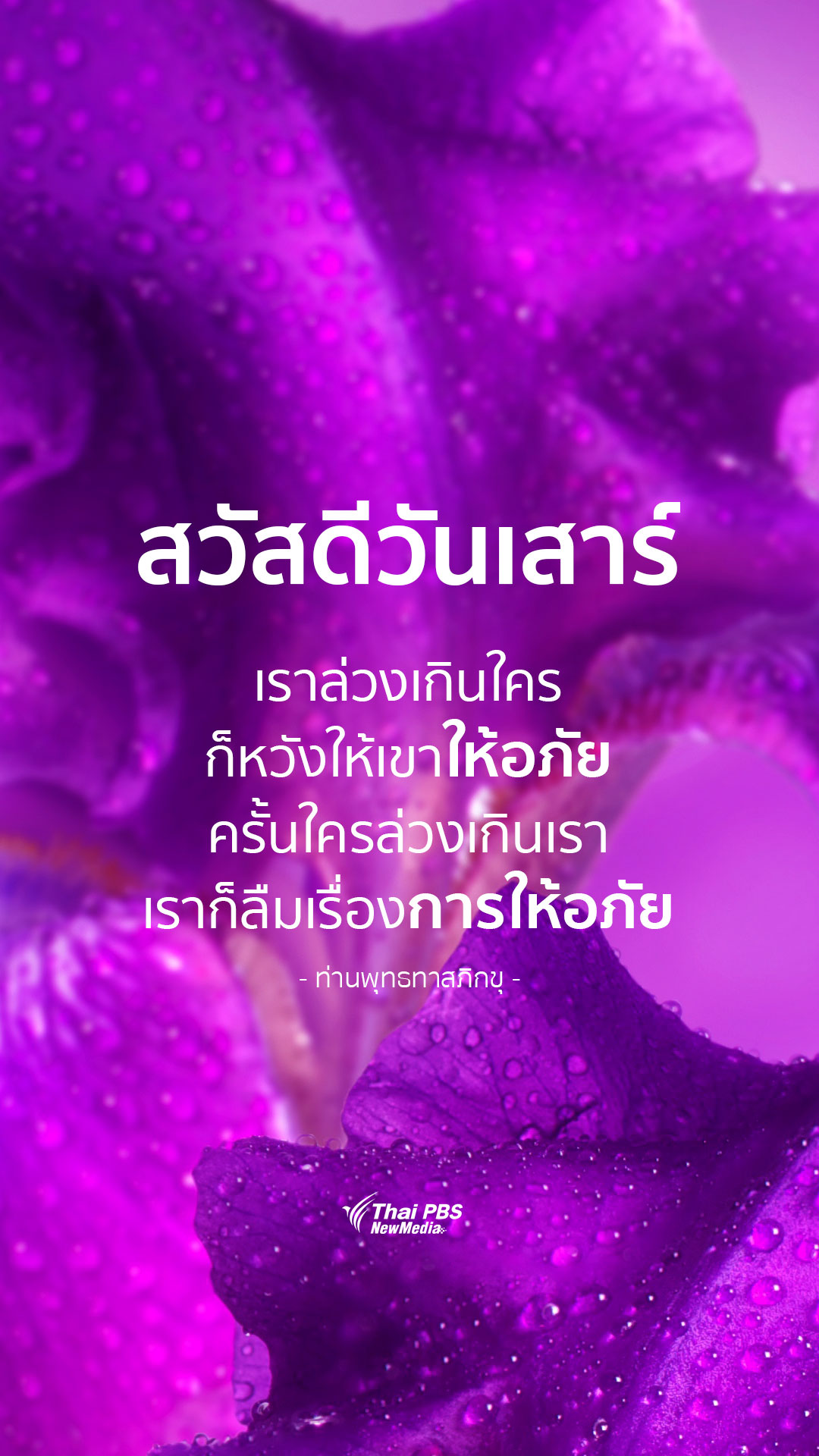 สวัสดีวันเสาร์ คำคมให้คนรักกัน - Thai Pbs สวัสดีทุกสีวัน